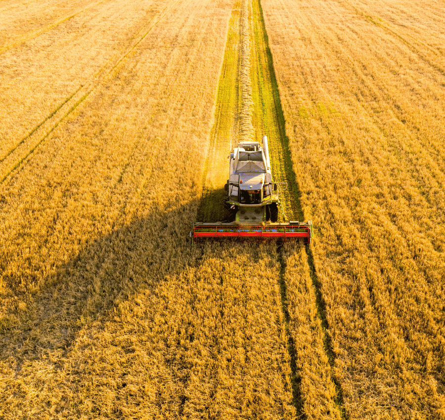 Agriculture