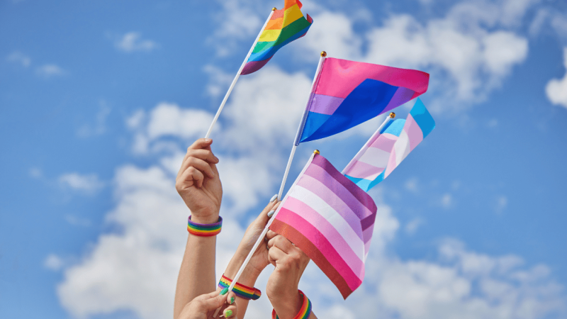 The Evolving Landscape of Queer Rights in India